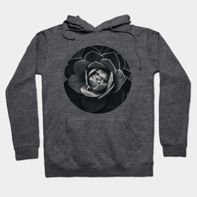 Noir Spurge Plant Photograph Hoodie by love-fi